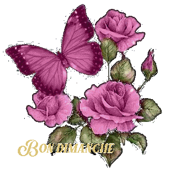 Bon dimanche fleurs papillon